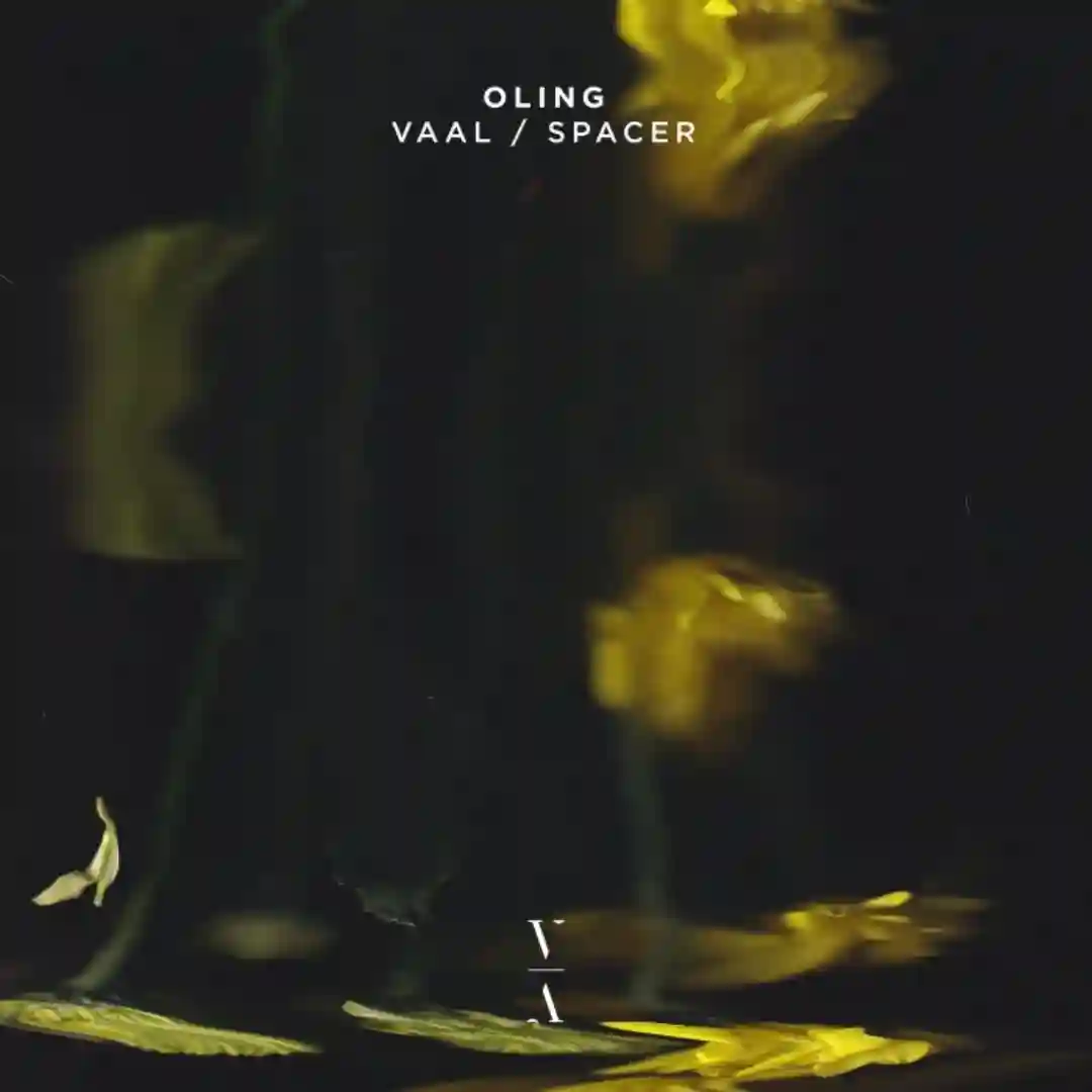 Vaal (Extended Mix) cover
