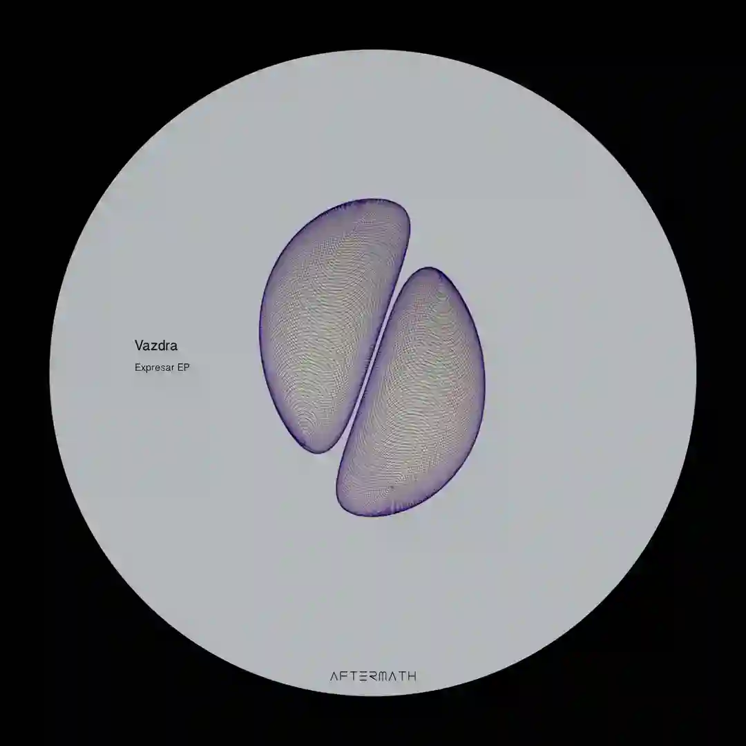 Raw Phonics (Original Mix) cover