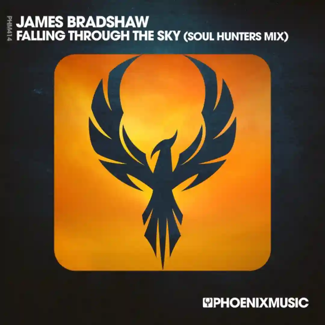 Falling Through The Sky (Soul Hunters Mix) cover