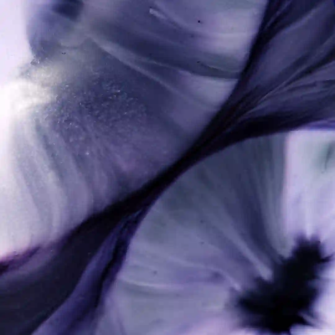 fluid + (Original Mix) cover