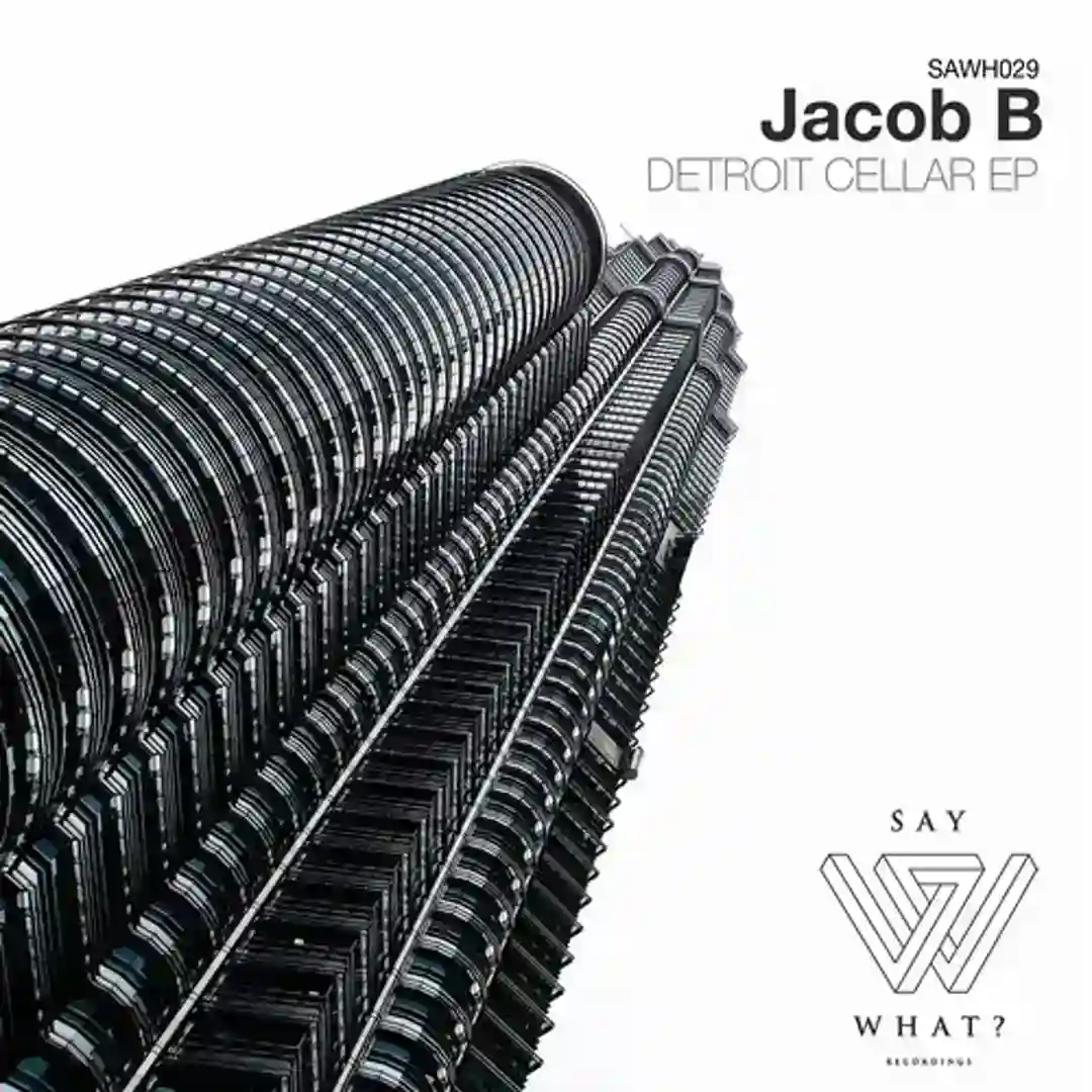 Detroit Cellar (Original Mix) cover