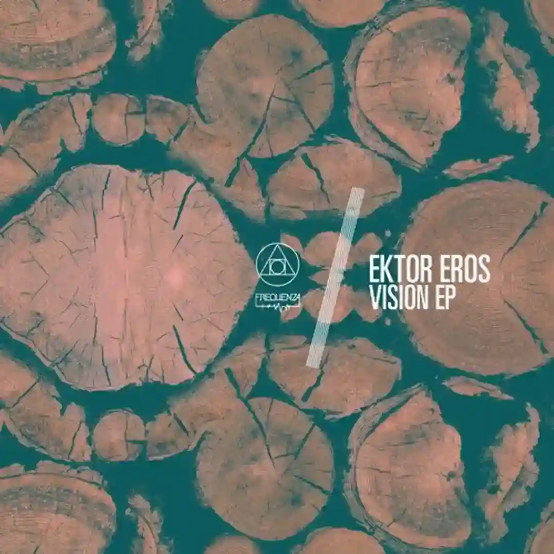 Vision (Original Mix) cover
