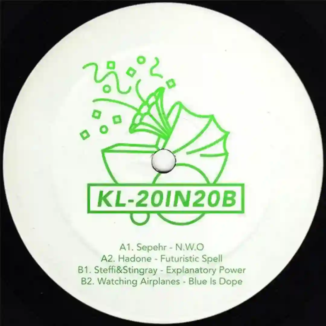 20in20b cover