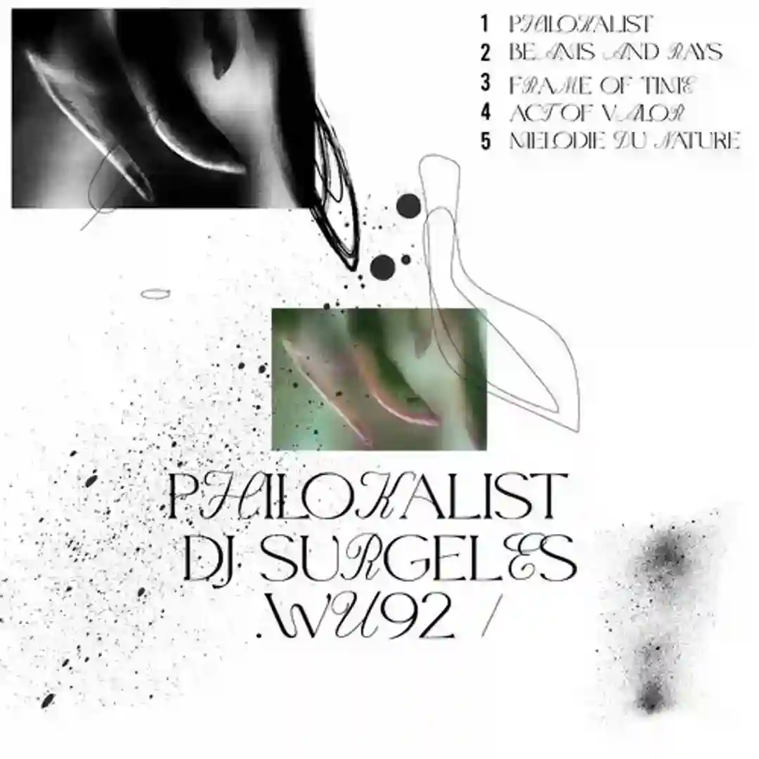 Melodie Du Nature (Original Mix) cover