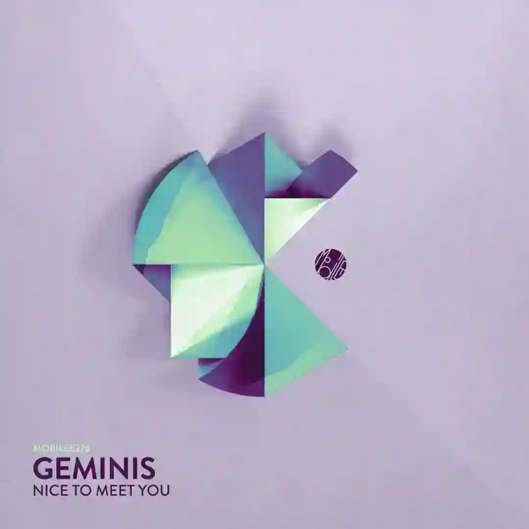 Pyraminx cover