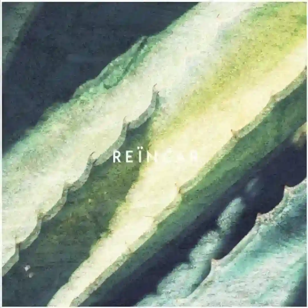 Reïncar cover