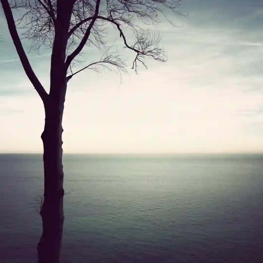 Sense Of Life cover