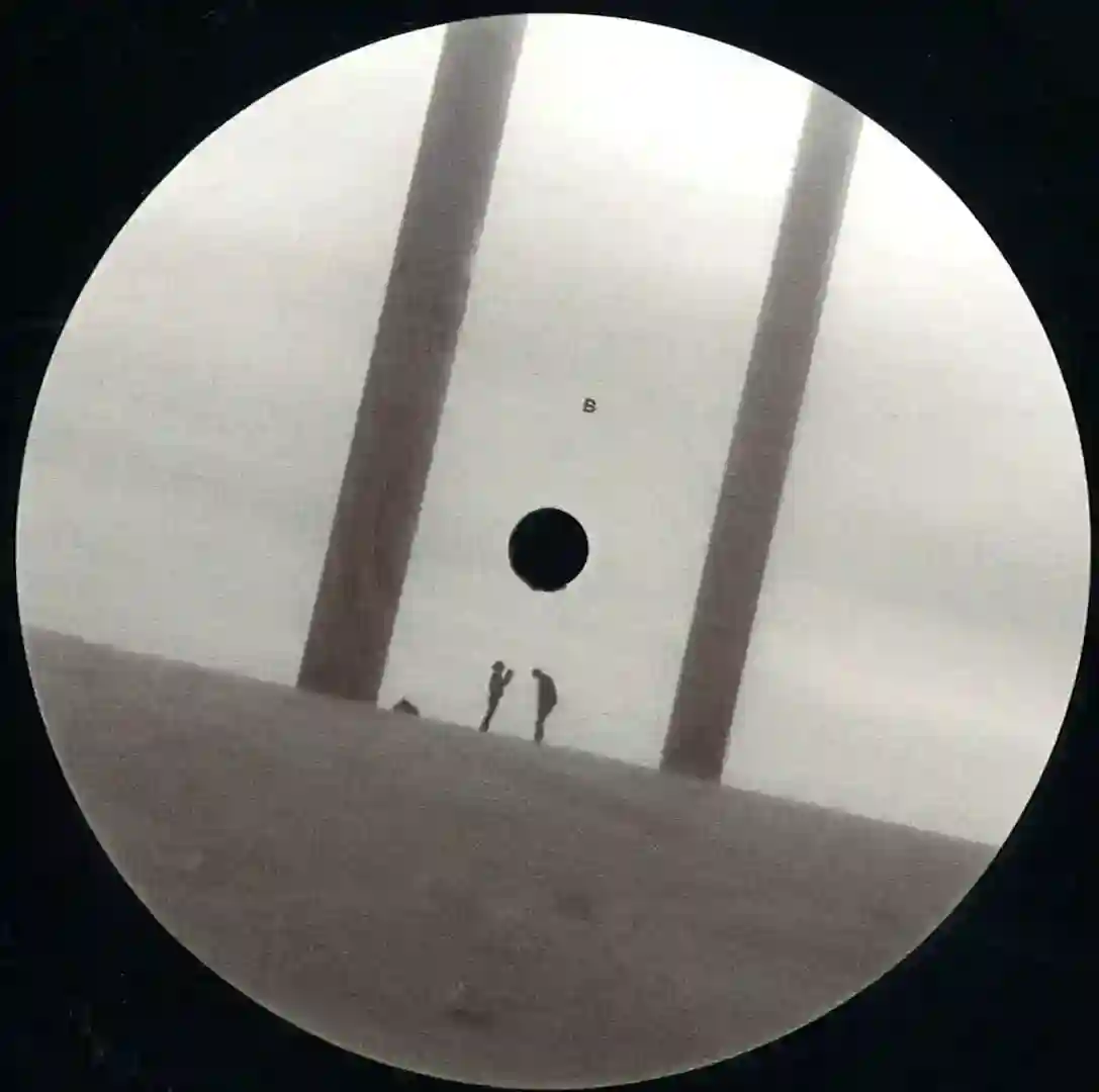 Triangulum Australe cover