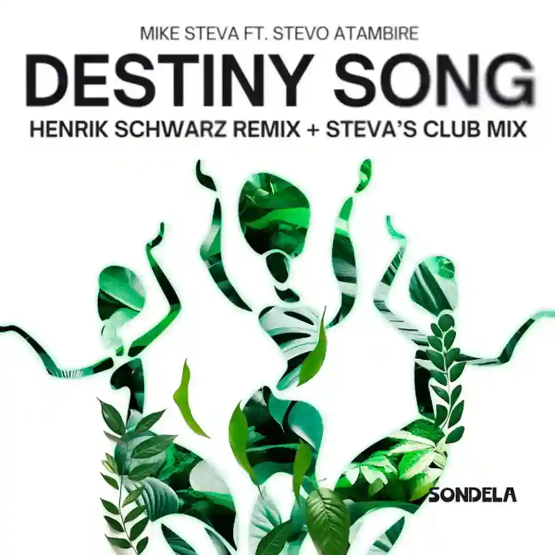 Destiny Song cover