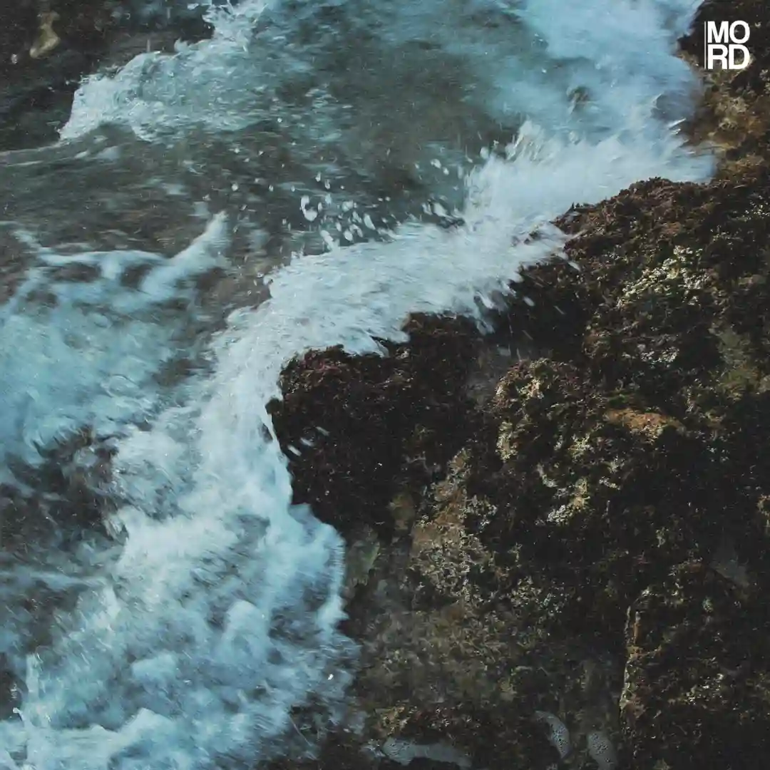 Turbulence (Original Mix) cover