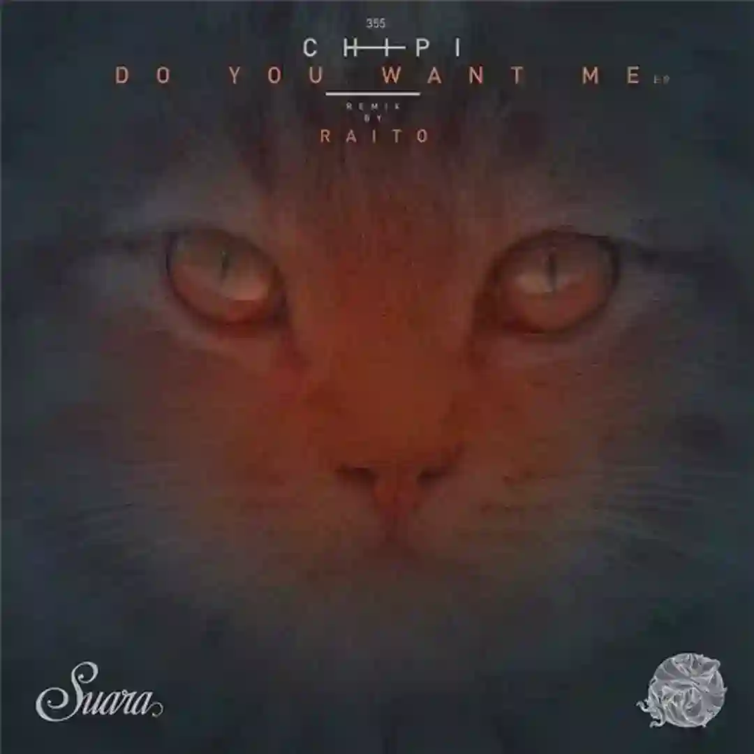 Vertigo (Original Mix) cover