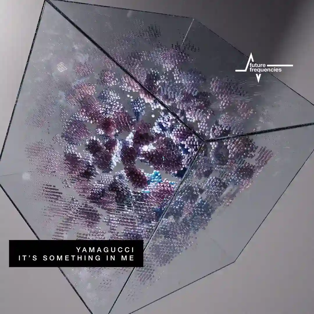 It´s Something in Me cover