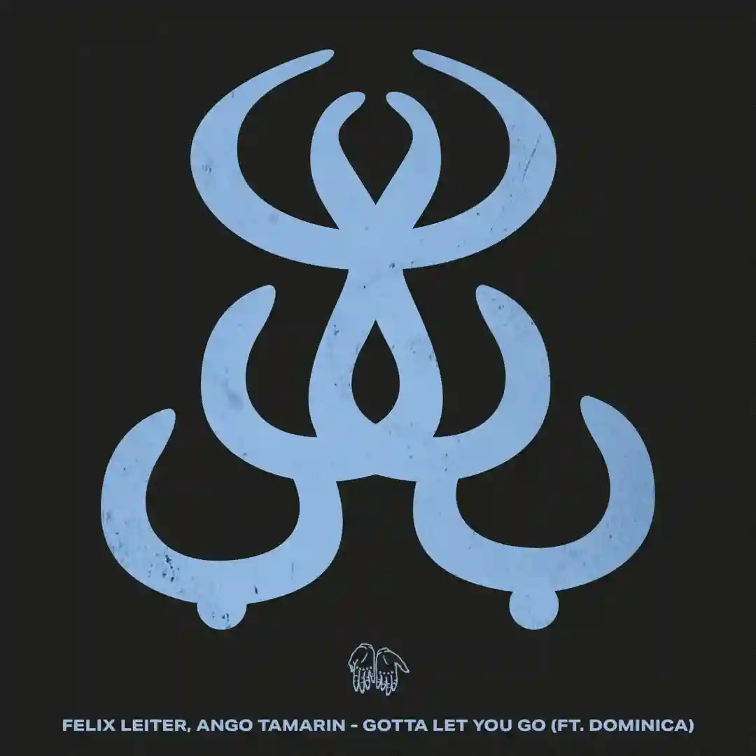 Gotta Let You Go (feat. Dominica) (Extended Mix) cover