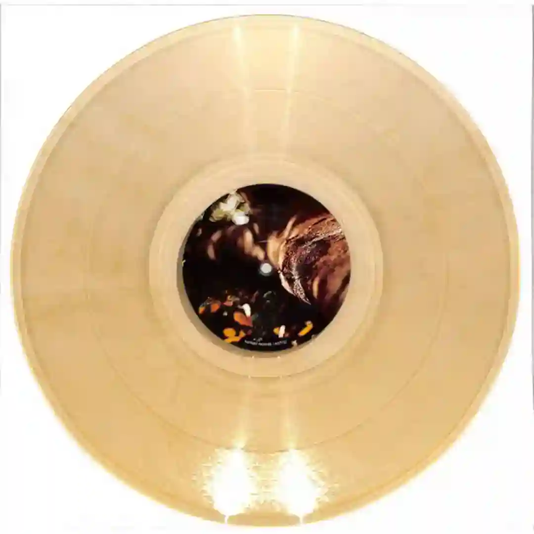 Seen The Light cover