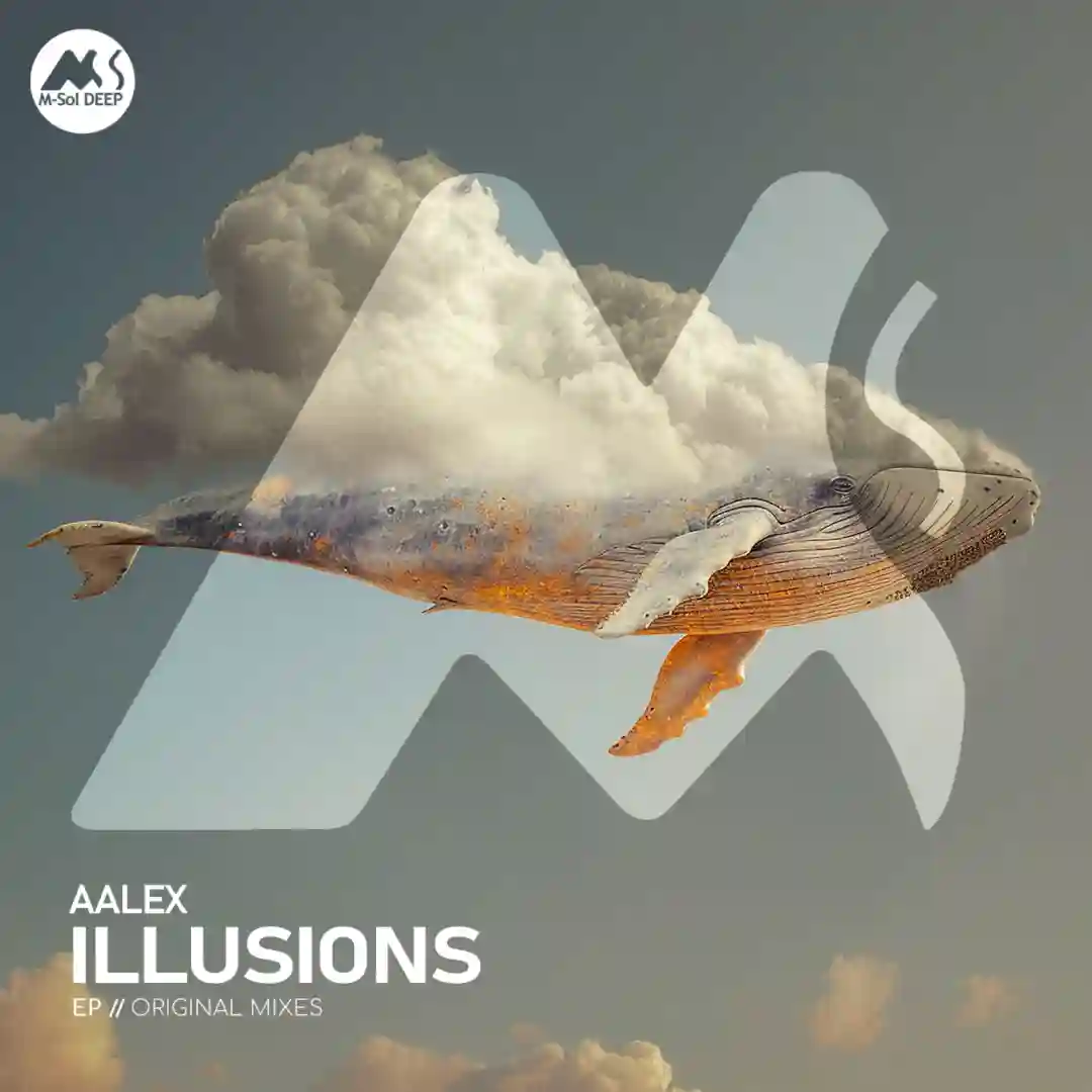 Illusions (Instrumental Mix) cover