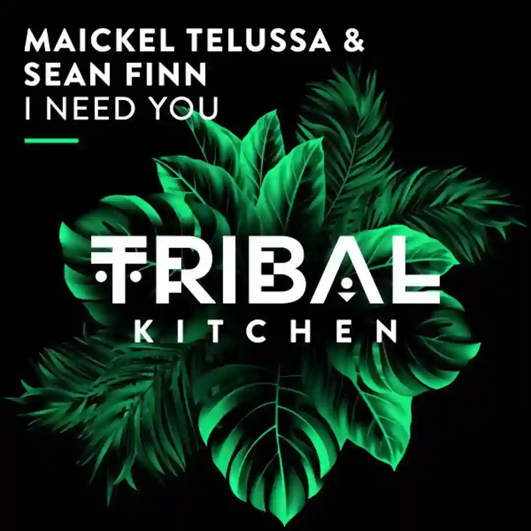 I Need You (Extended Mix) cover