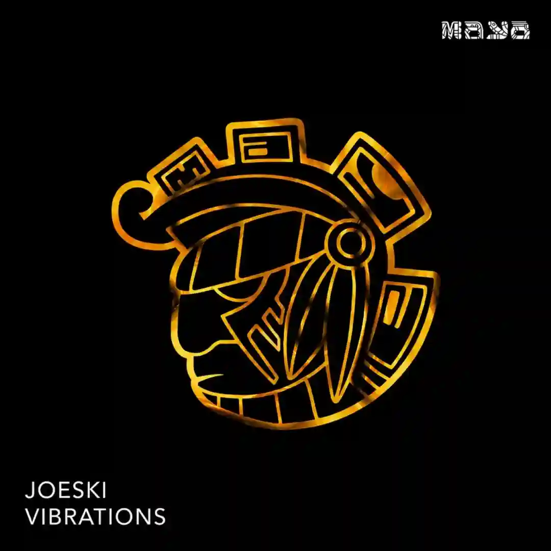 Vibrations cover