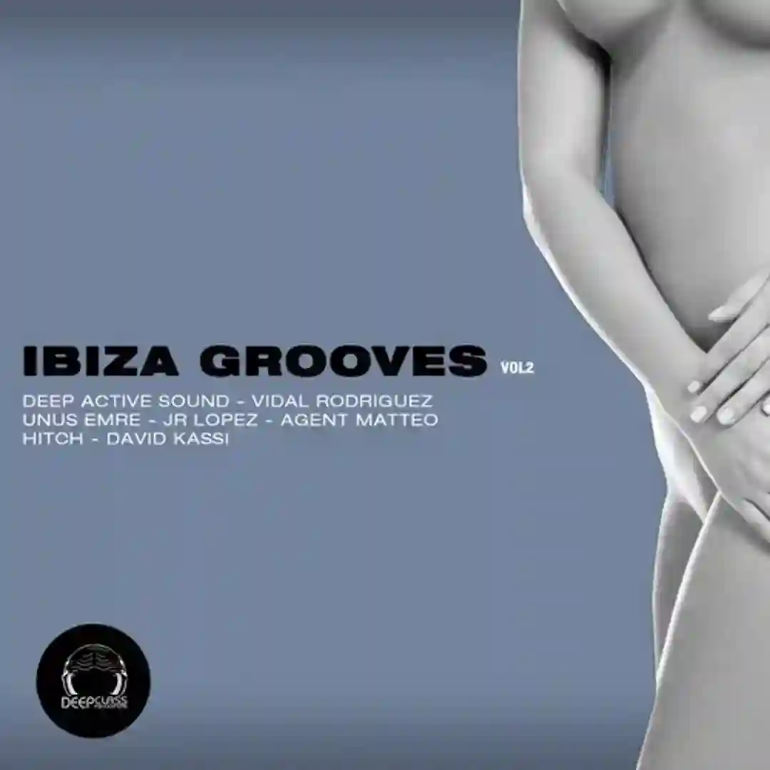 Vinyl Shop (Original Mix) cover