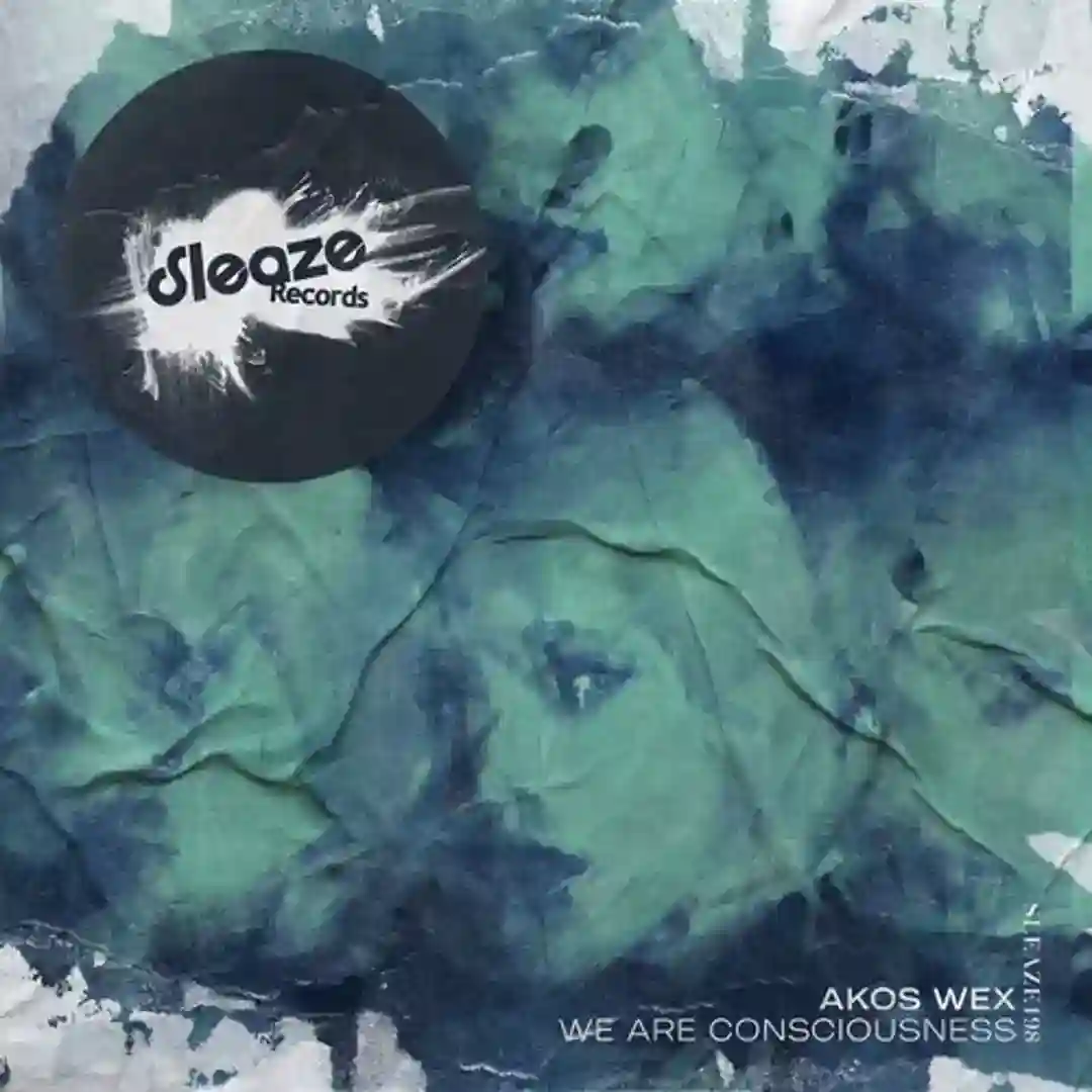 We Are Consciousness cover