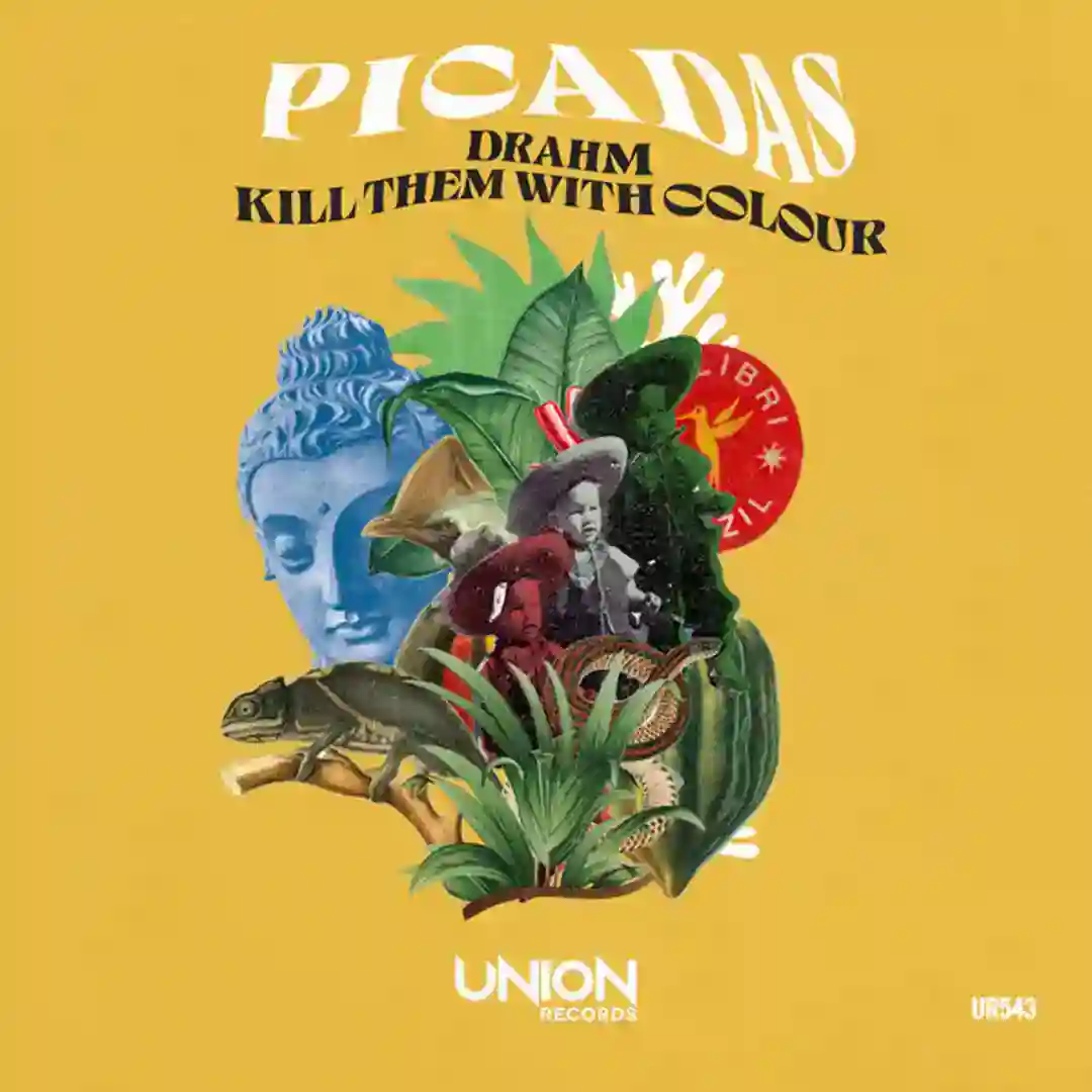 Picadas cover