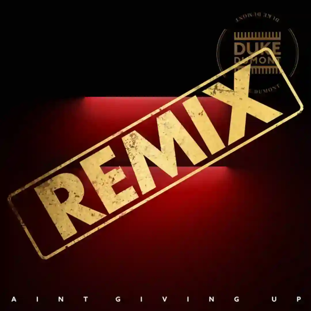 Ain't Giving Up (Paul Woolford's Special Request Extended Mix) cover