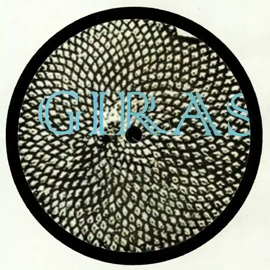 B1 Terra VINYL ONLY  cover