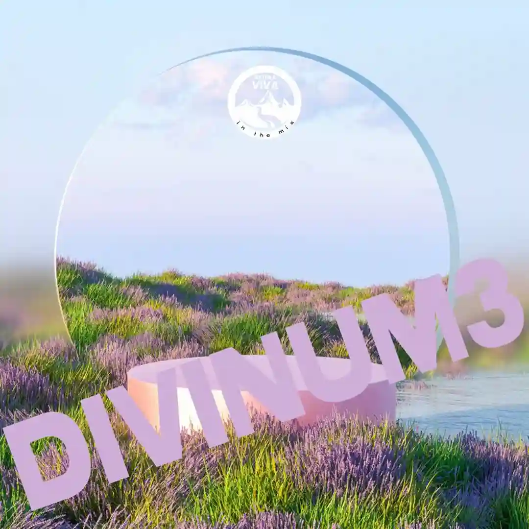InFlight (Hernan Cattaneo & Soundexile Remix) cover