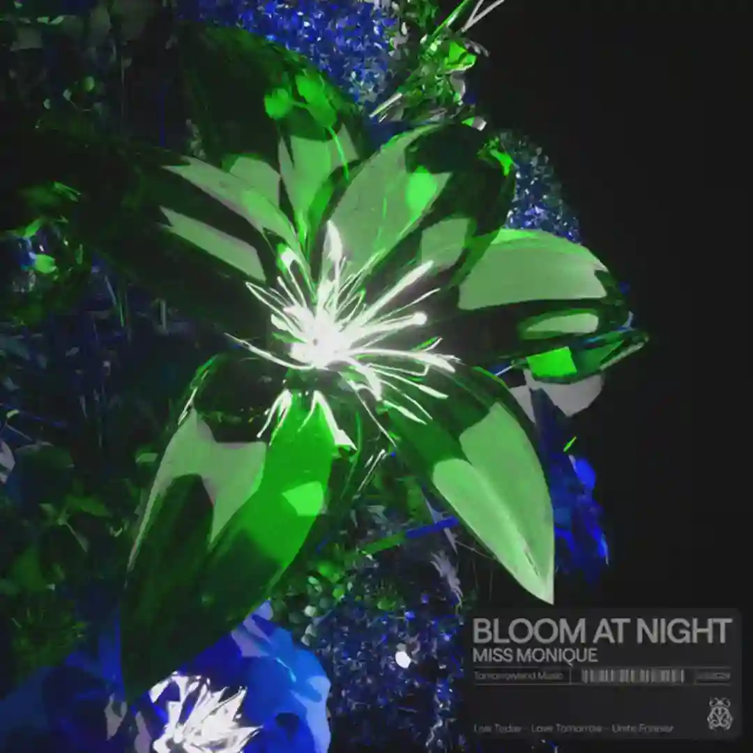 Bloom At Night (Extended Mix) cover