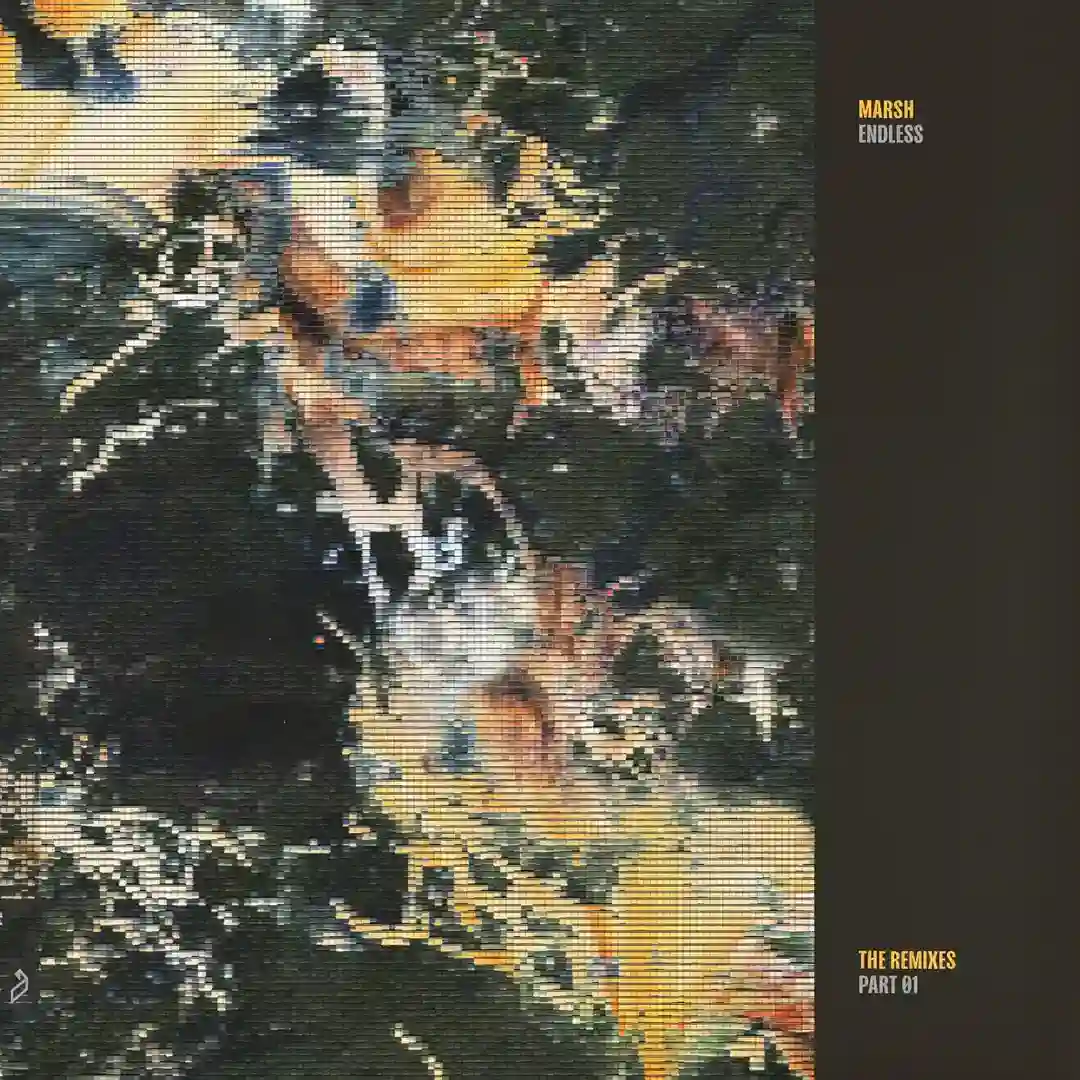 Endless (The Remixes - Part 01) cover