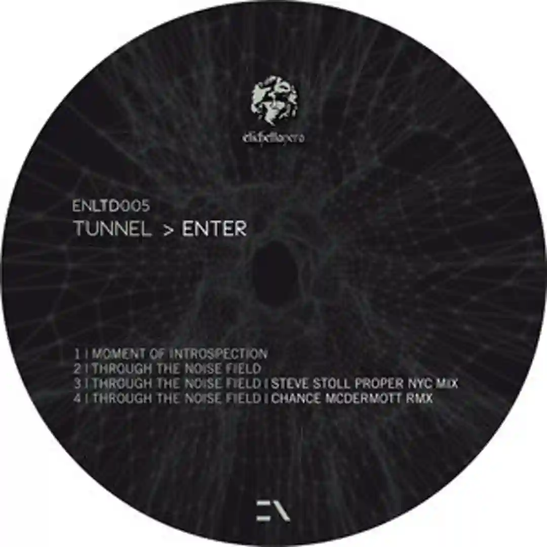Through The Noise Field (original mix) cover