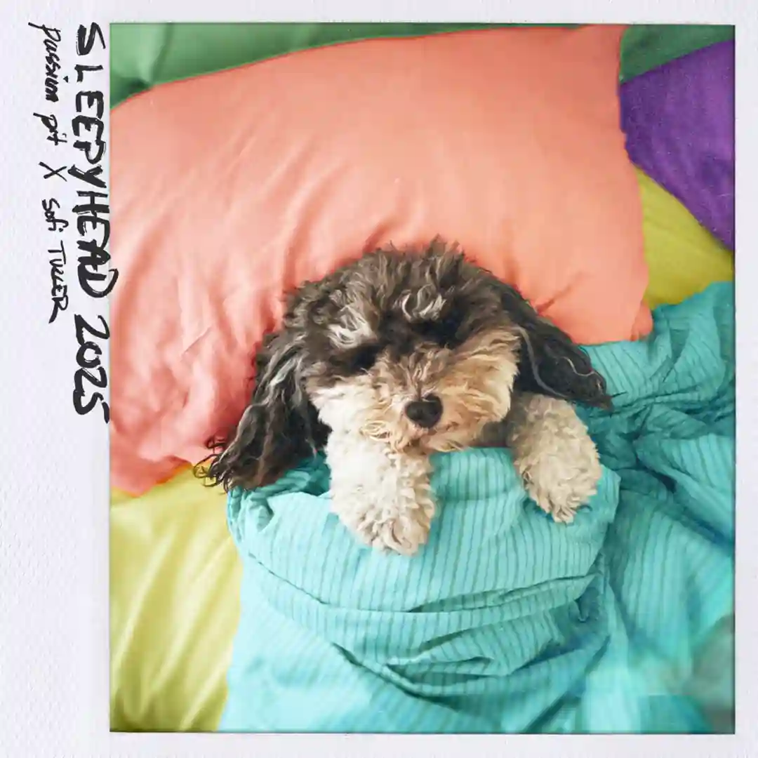 Sleepyhead 2025 (Original Mix) cover
