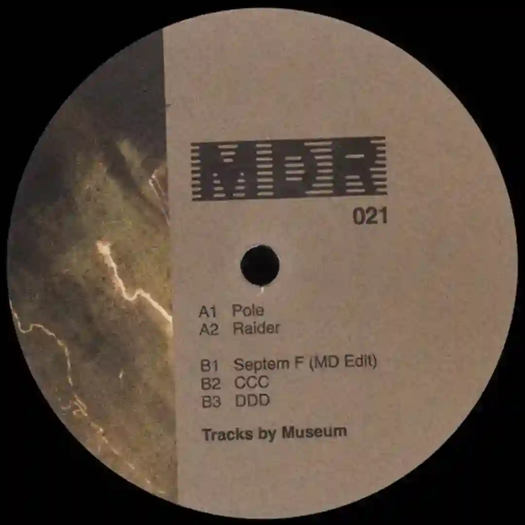 Raider (Original Mix) cover