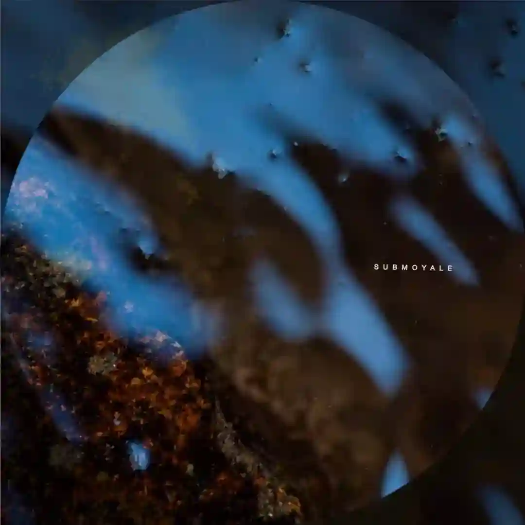 Polaristic (Original Mix) cover