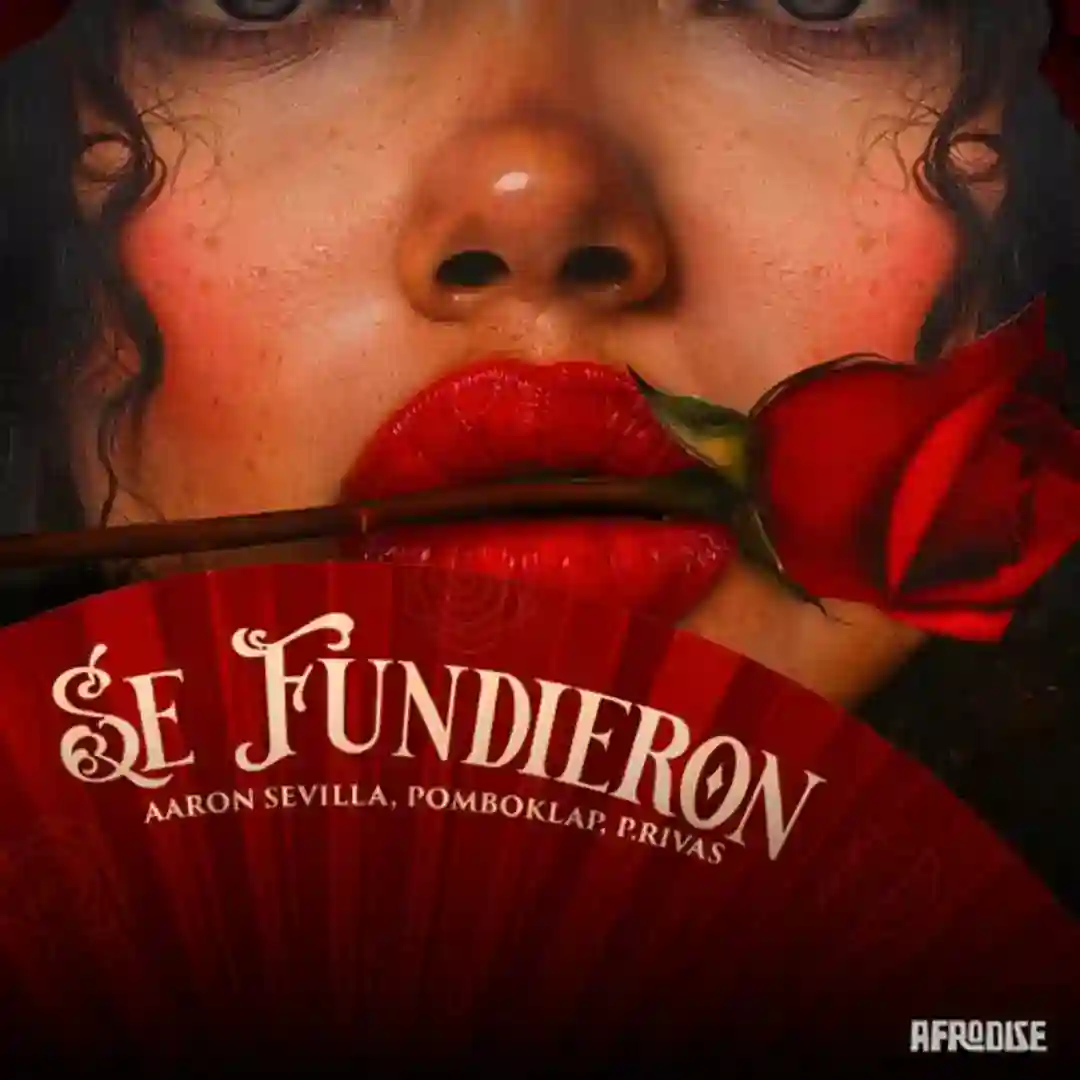 Se Fundieron (Original Mix) cover