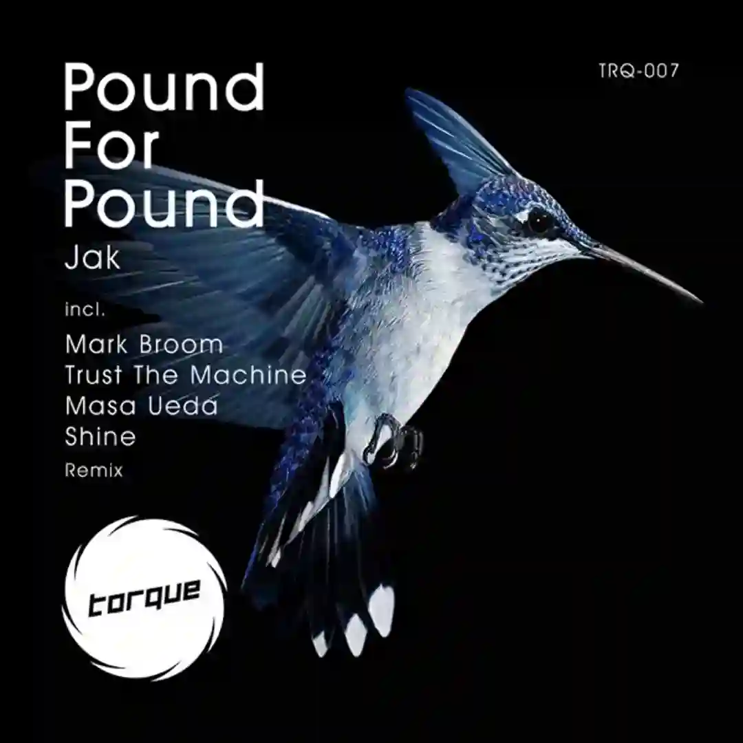 Pound For Pound (Shine Remix) cover