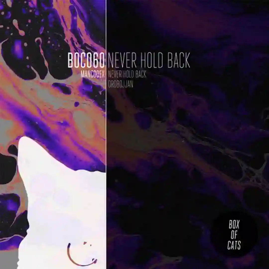 Never Hold Back (Original Mix) cover