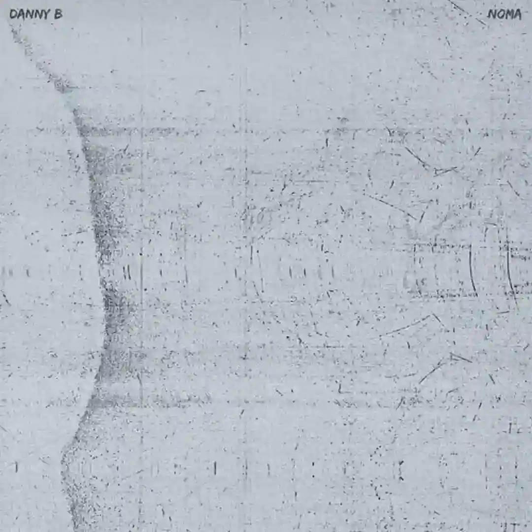 Noma cover