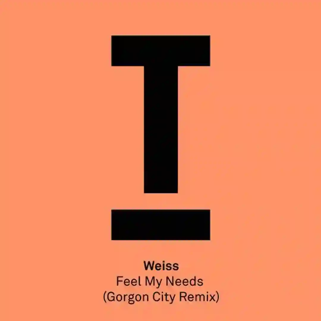 Feel My Needs (Gorgon City Remix) cover