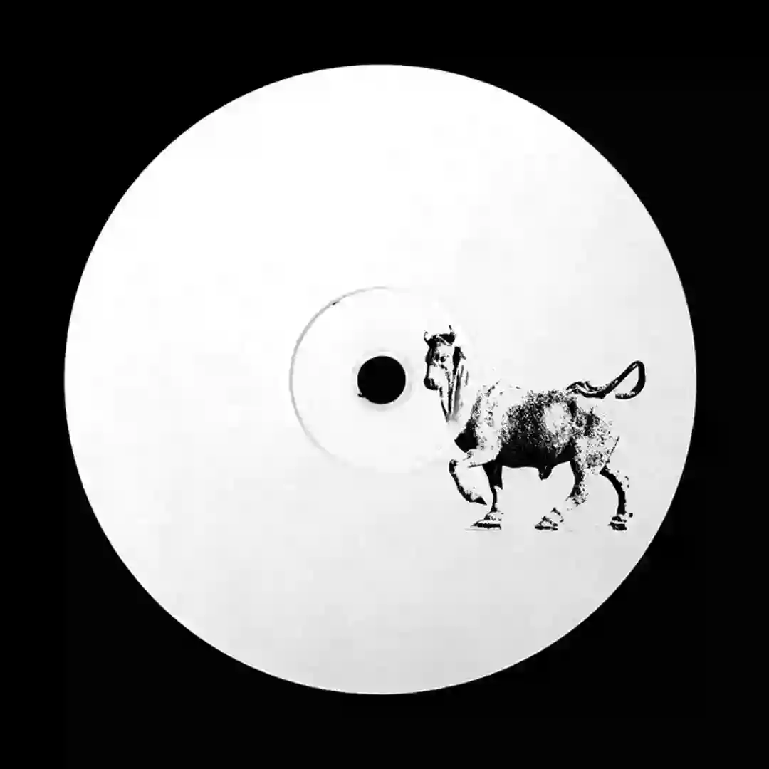 Fellaheen cover