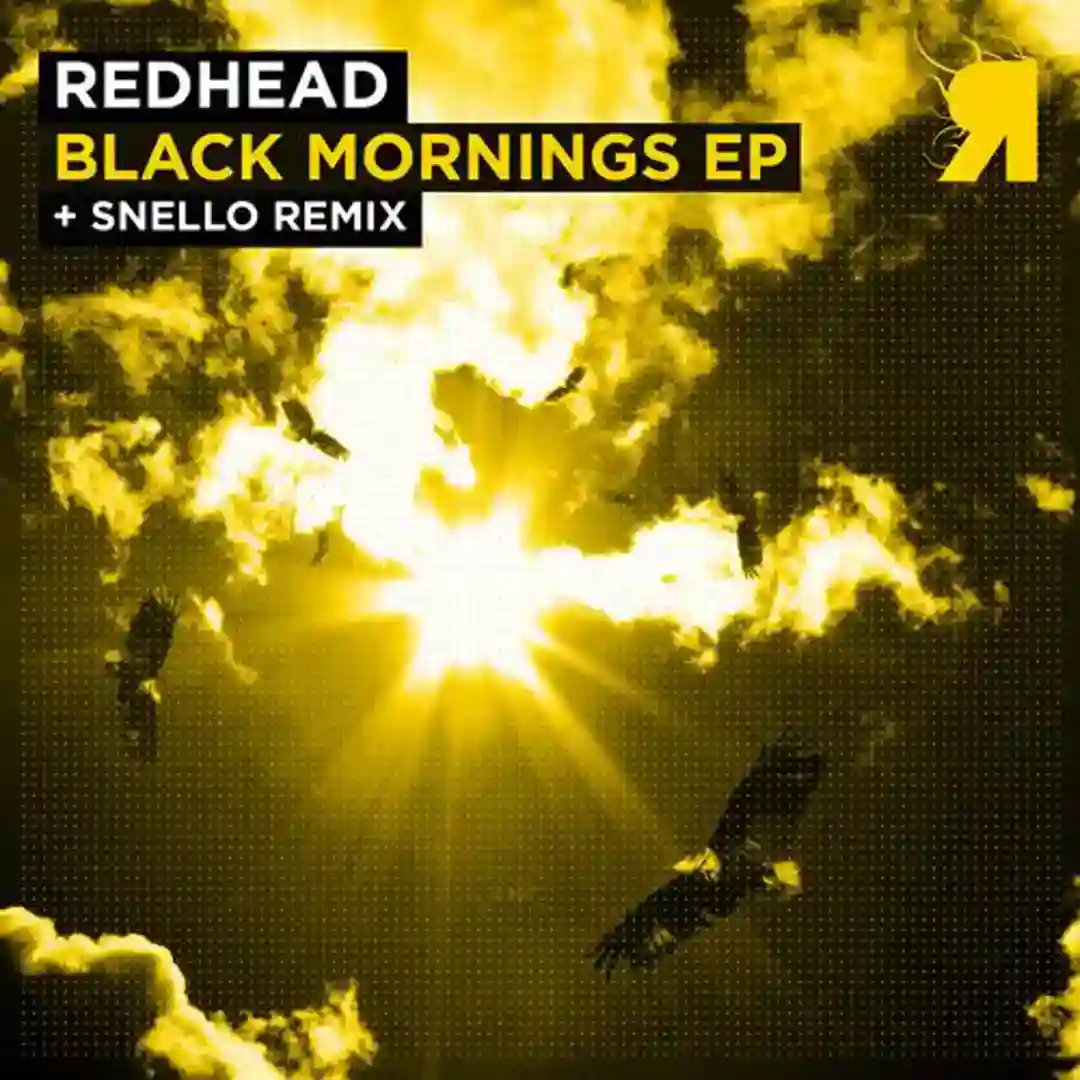 Black Mornings (Snello Remix) cover