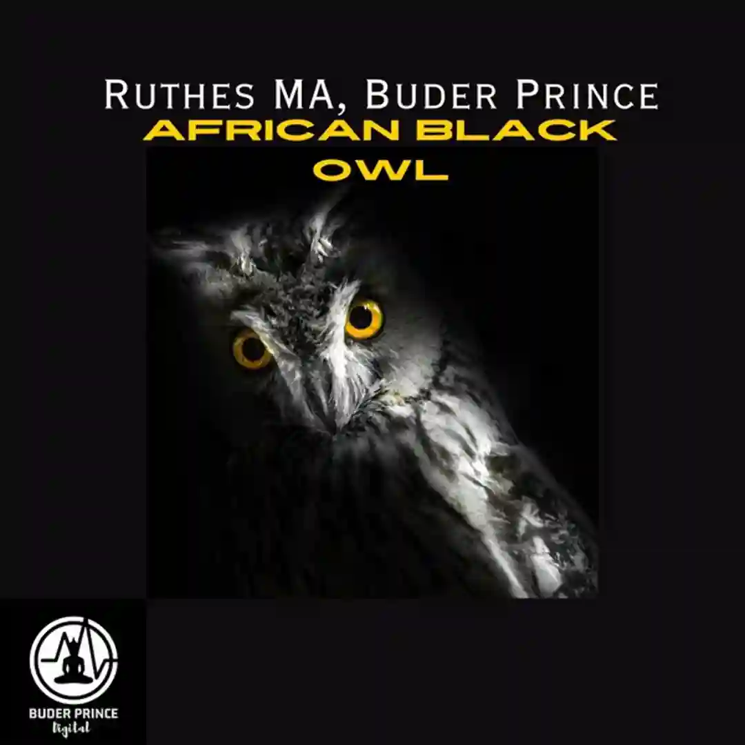 African Black Owl (Original Mix) cover