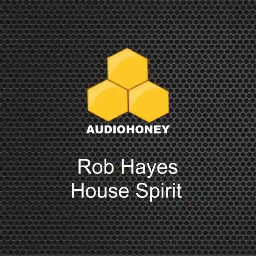 House Spirit (Original Mix) cover