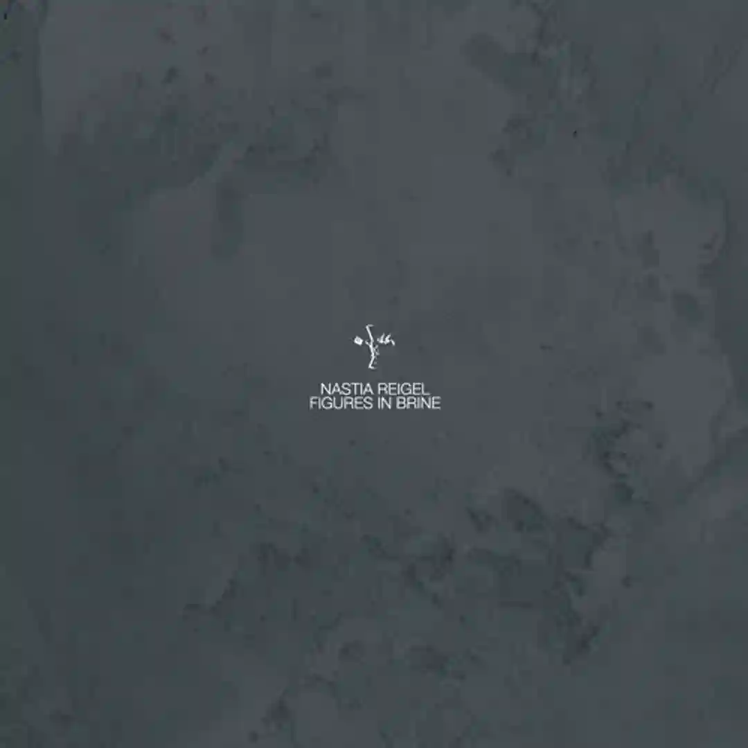 Figures In Brine cover