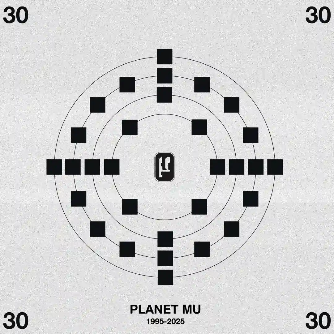 Smooth Jungle (Original Mix) cover