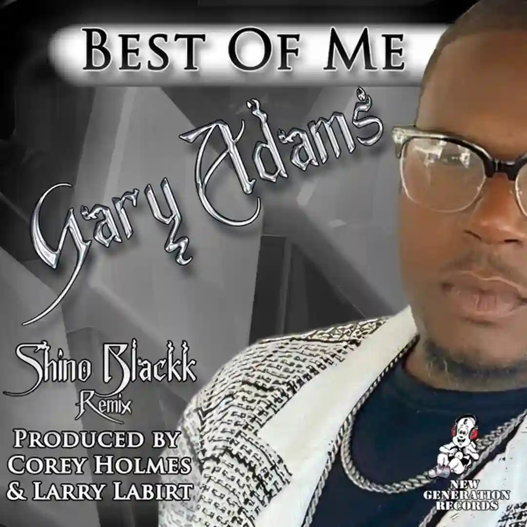 Best Of Me (Shino Blackk Remix) cover