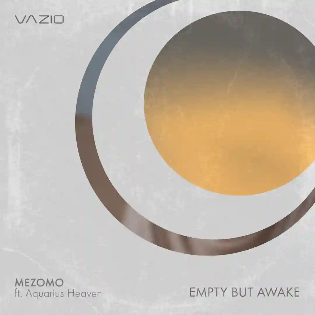 Empty but Awake cover