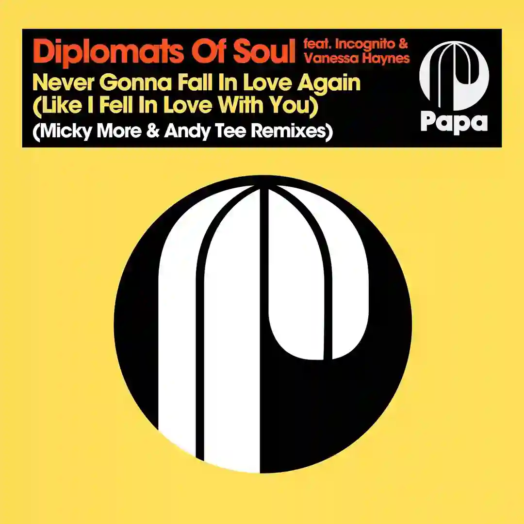 Never Gonna Fall In Love Again (Like I Fell In Love With You) feat. Vanessa Haynes (Micky More & Andy Tee Remix) cover