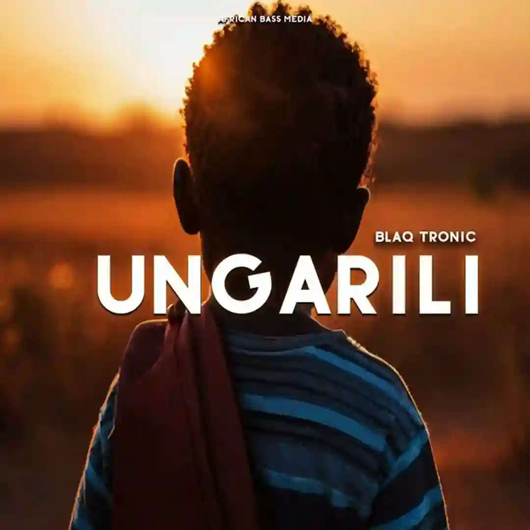 Ungarili (3 Step Mix) cover