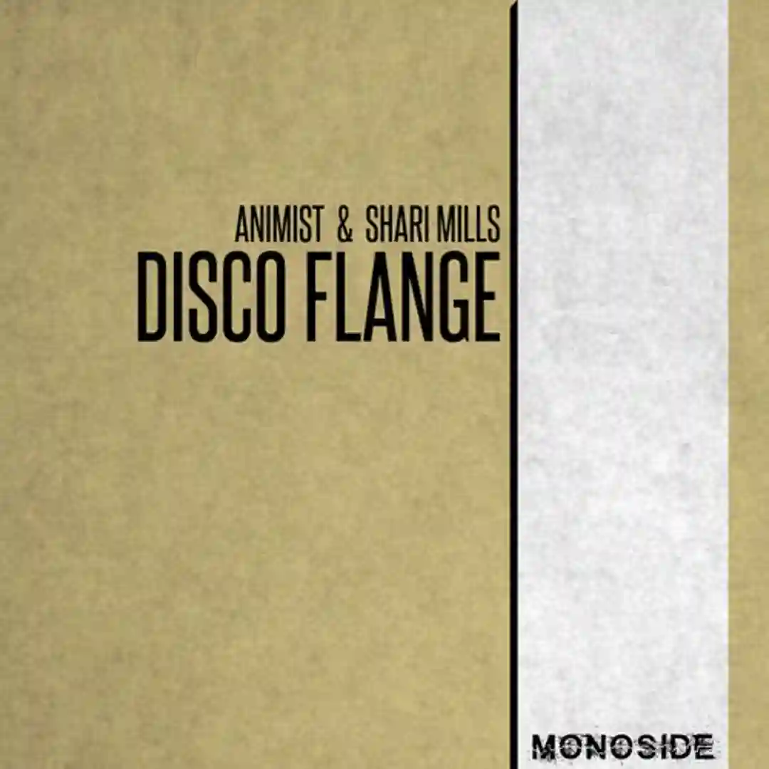 Disco Flange cover