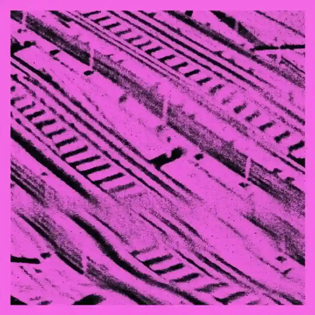 EP2 cover